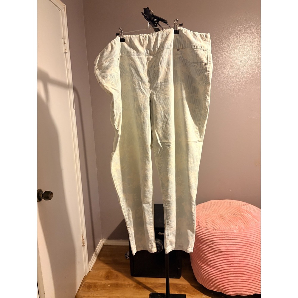 Style & CO Blue Pinstripe with White Floral Design Jeggings Women Sz XXL